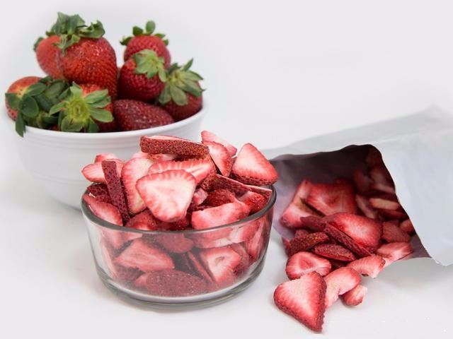 China Vacuum Food Freeze Dryer