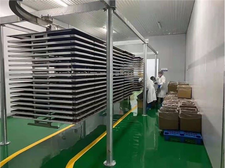 Vacuum Food Freeze Dryer suppliers
